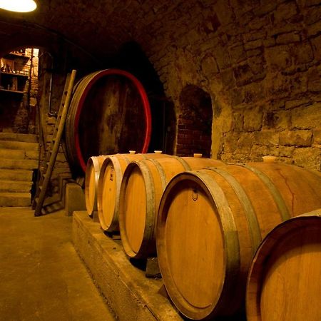 Ferienwohnung, Weingut Trockene Schmitts Randersacker Exteriör bild
